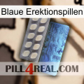 Blue Erection Pills 34
